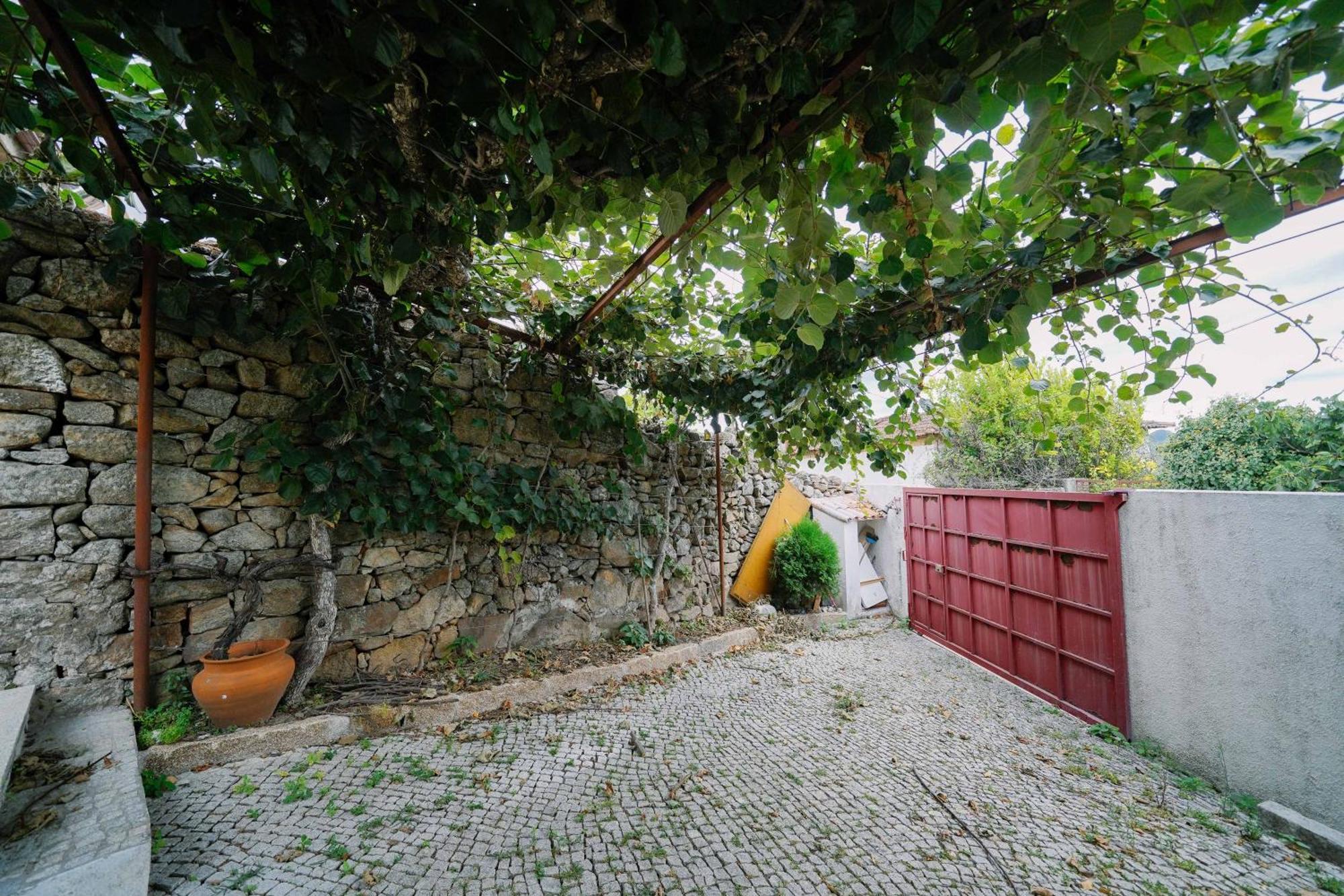 AlijóMartinho'S Houseアパートメント エクステリア 写真